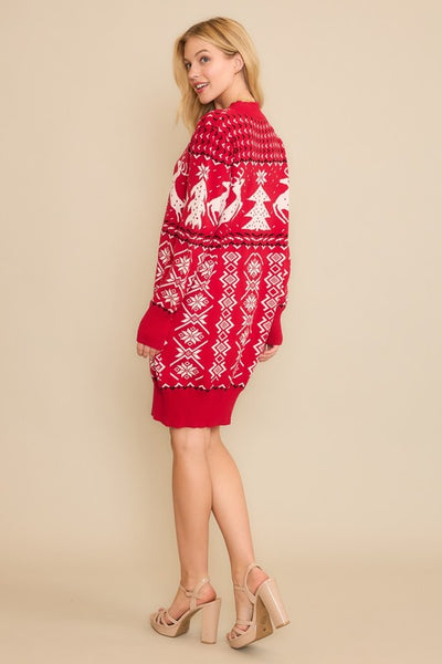 Holiday Sweater Dress