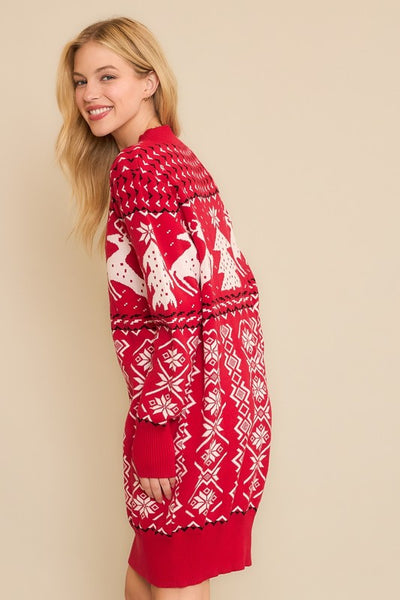 Holiday Sweater Dress